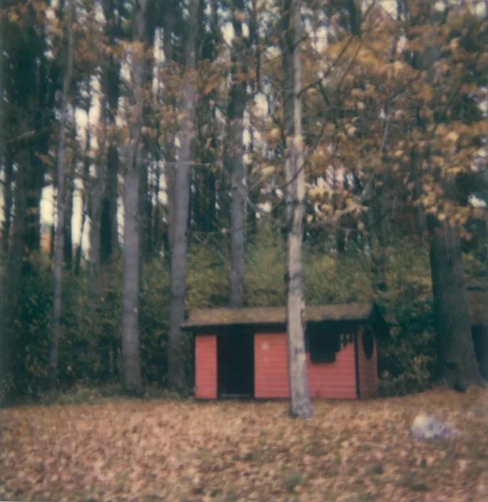 rachel maddow net worth